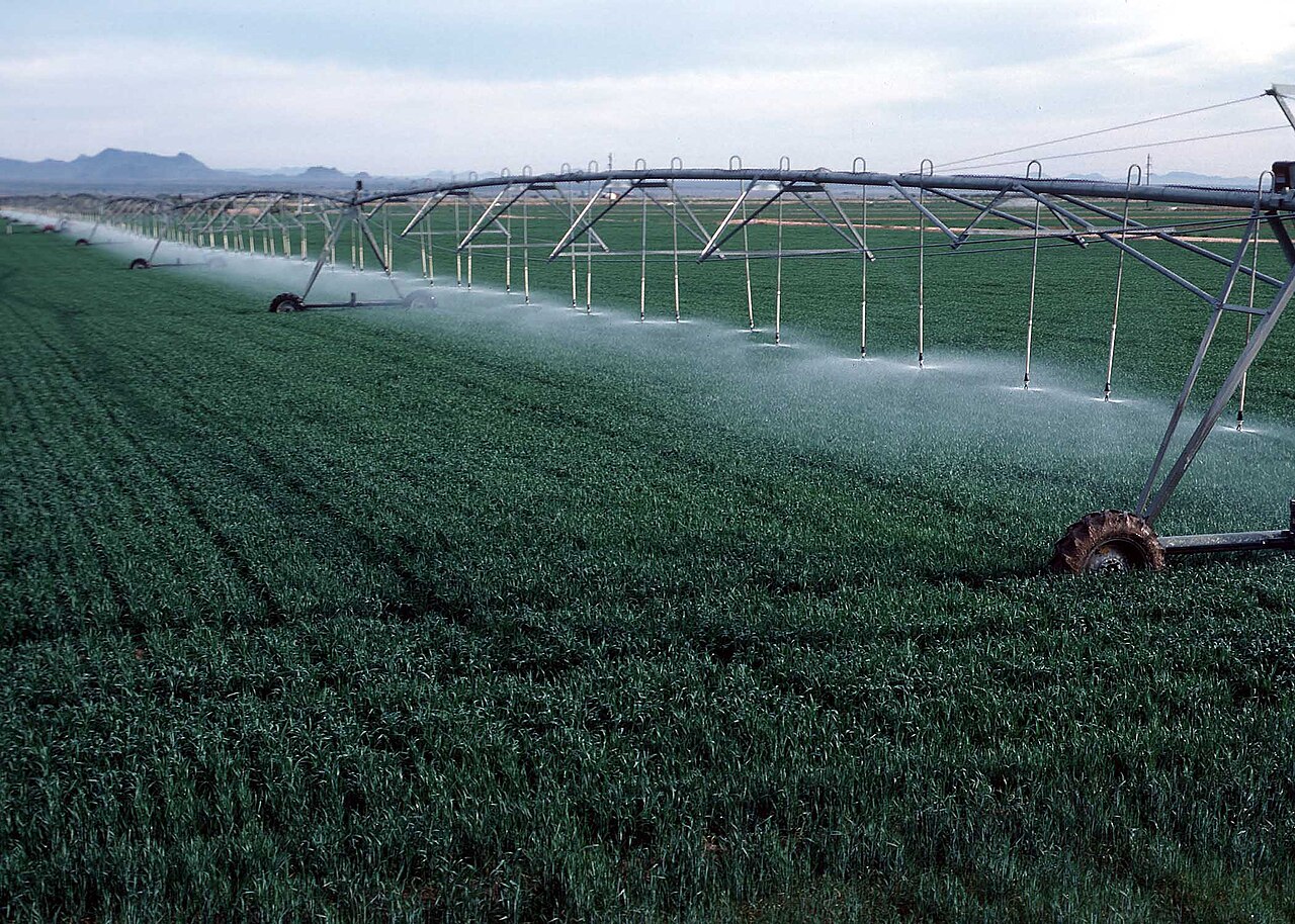 Irrigation System
